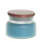 blueberry-10