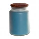 blueberry-26
